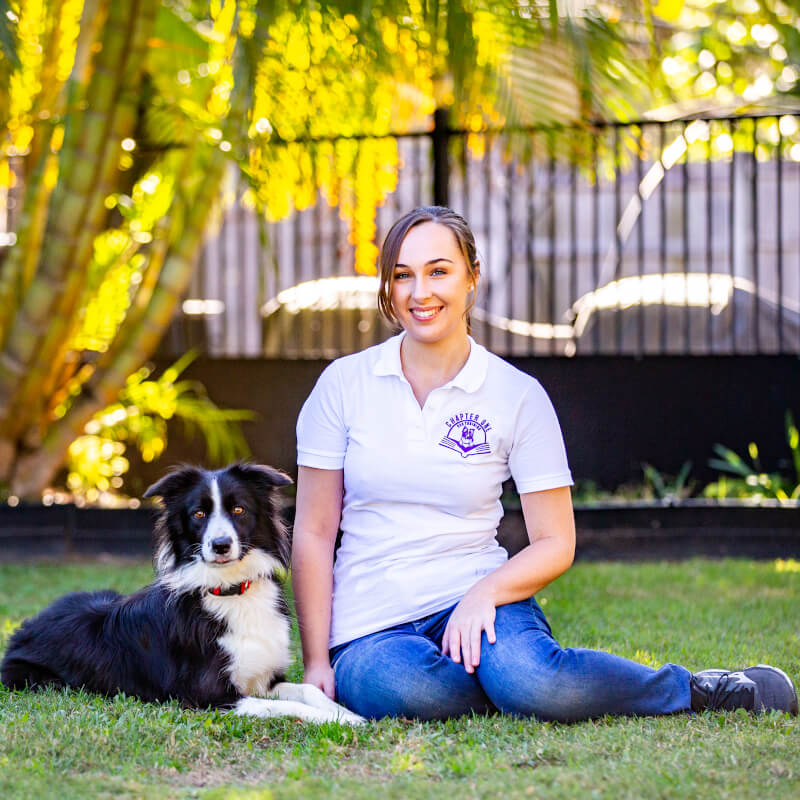 Dog Training Brisbane - Woman and border collie sitting on grass